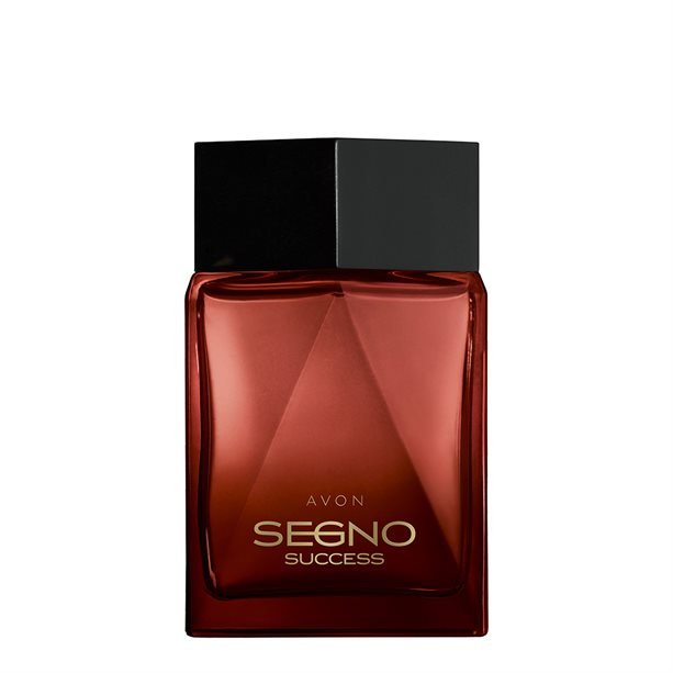 Segno Success